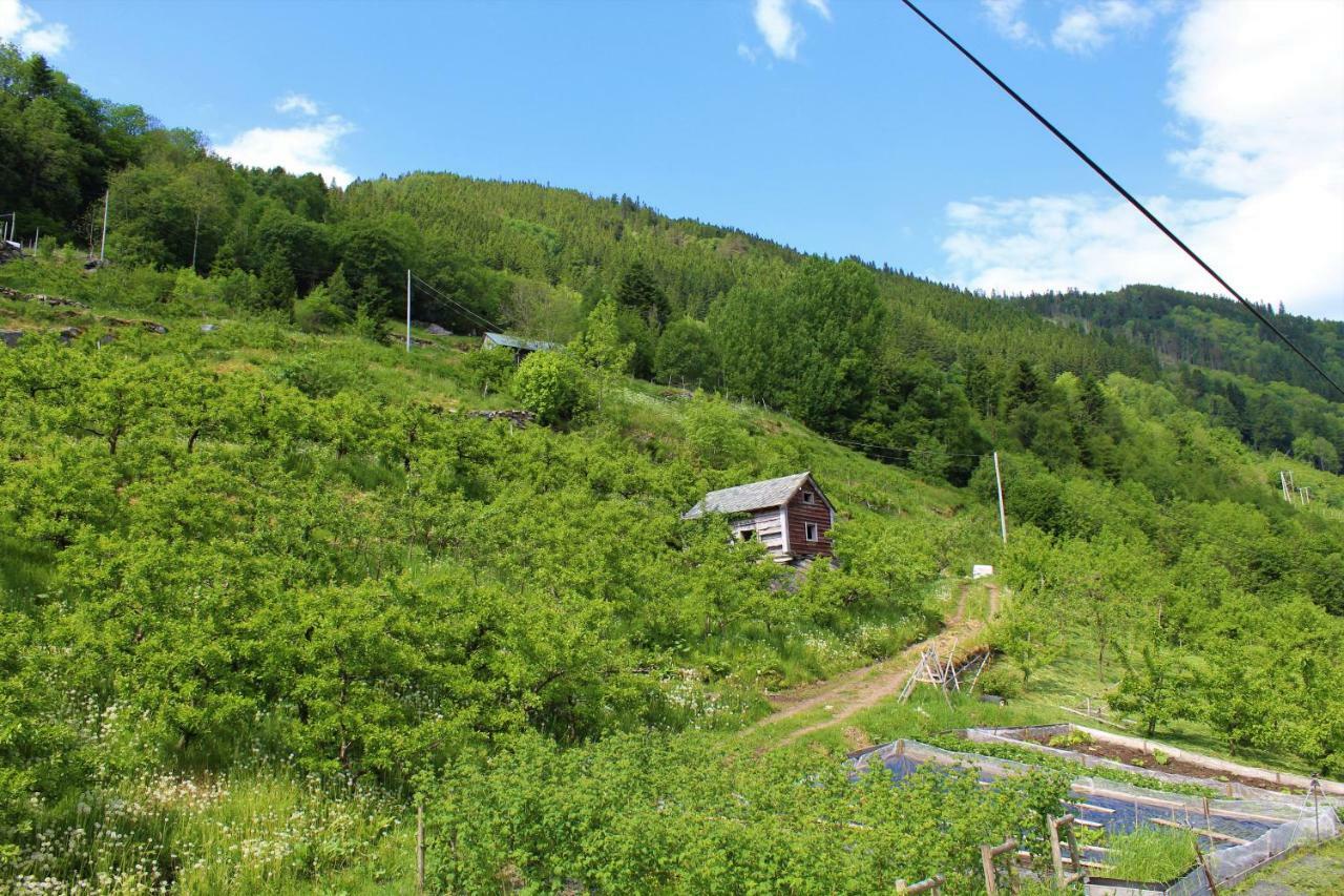 Вілла Fjord House Grimo Екстер'єр фото