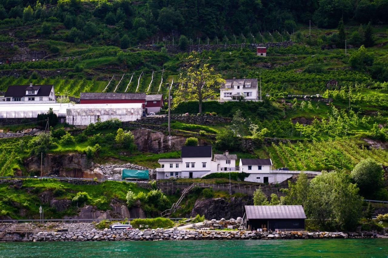 Вілла Fjord House Grimo Екстер'єр фото